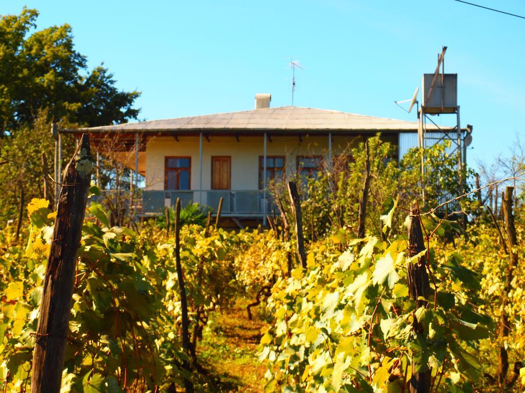 Guesthouse Zedafoni Zestafoni ภายนอก รูปภาพ