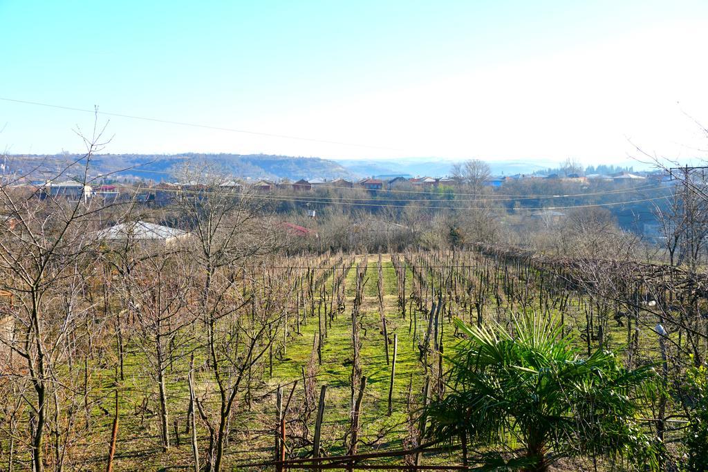 Guesthouse Zedafoni Zestafoni ภายนอก รูปภาพ